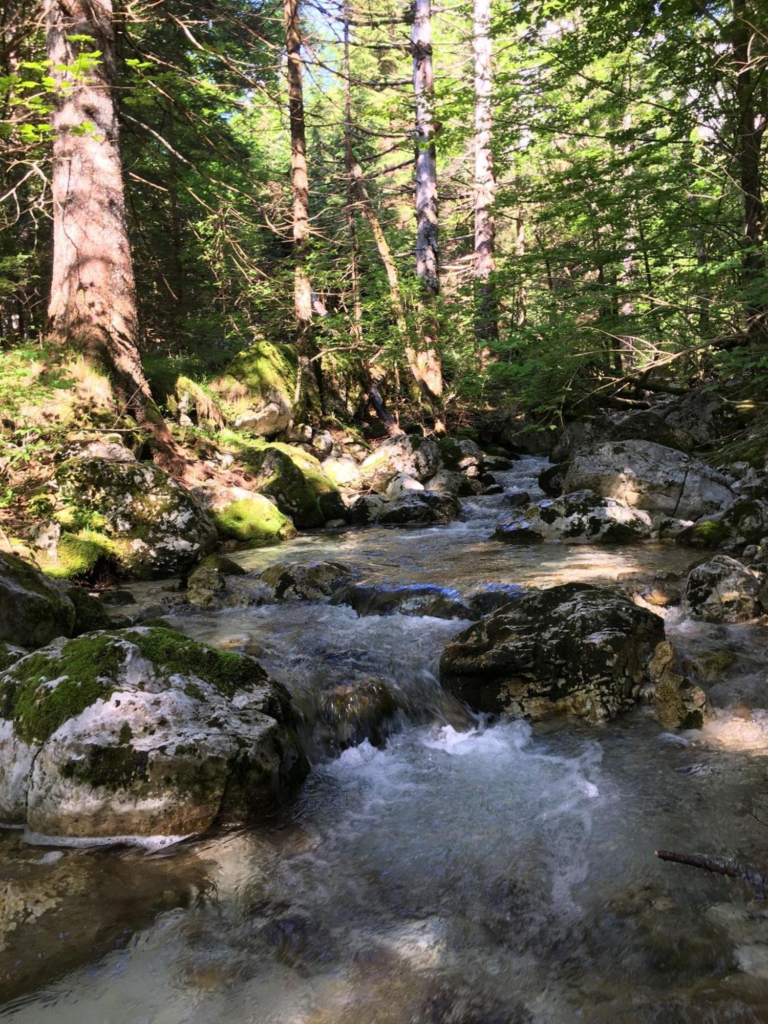 Cozy Private Cabin In The Heart Of Triglav National Park Trenta Kültér fotó